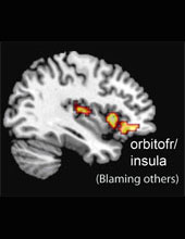 Brain scan: subgenual (blaming self)