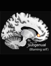 Brain scan: orbitofr/insula (blaming others)