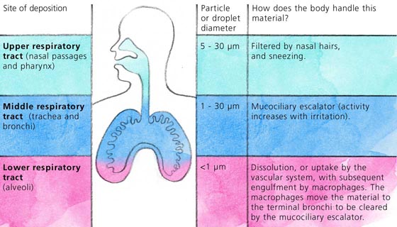 Particle size ranges for dust